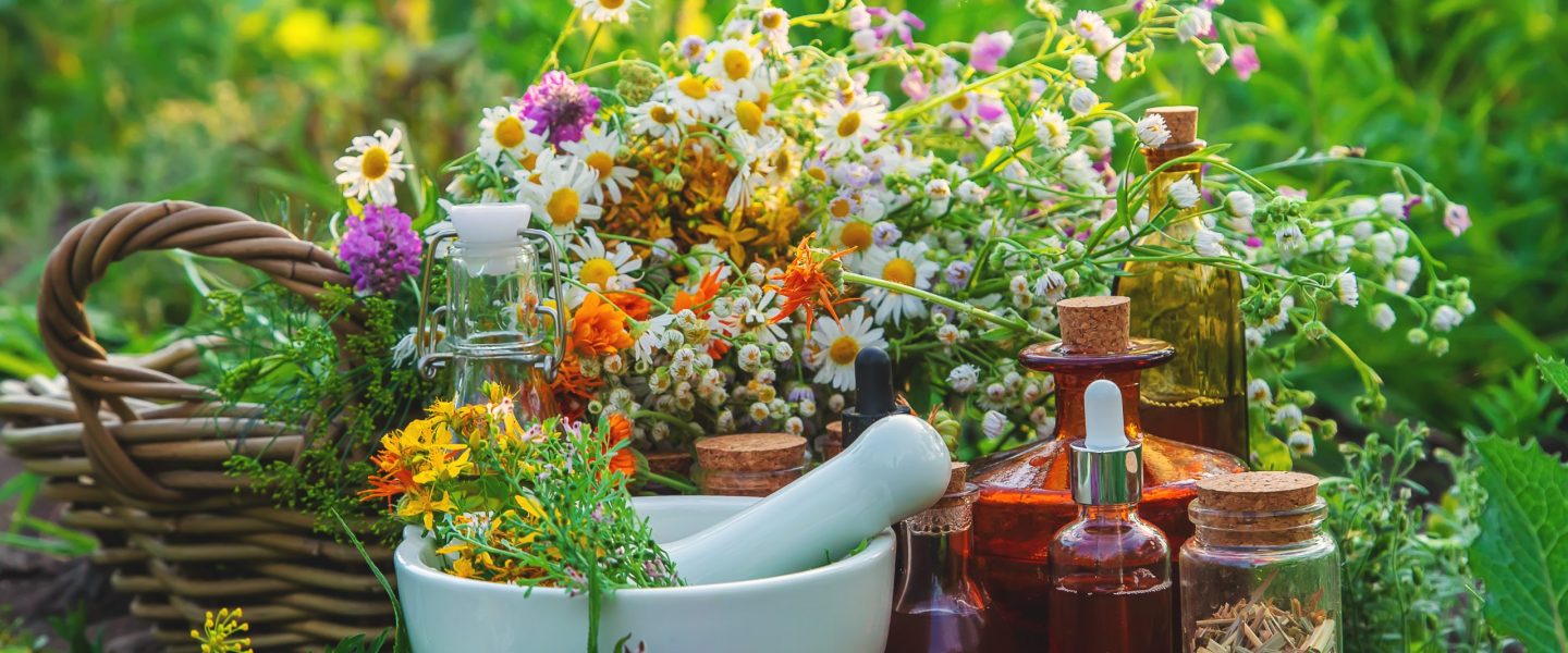 (c) AdobeStock 533479067 yanadjan – stock.adobe.com
