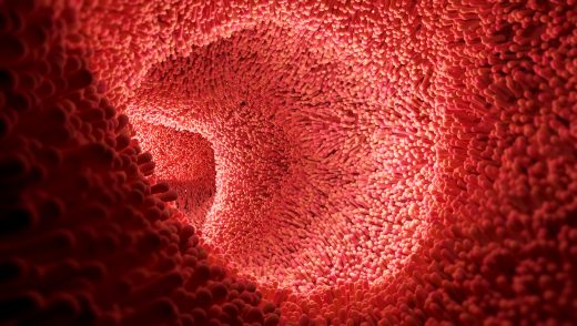 (c) AdobeStock 590863764 katestudio – stock.adobe.com